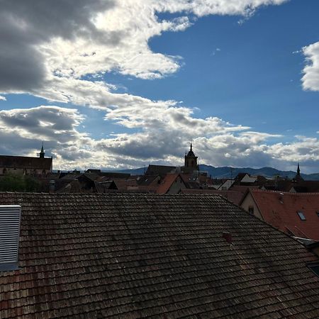 Colmar City Center - Appartement Belle-Vue 4 Etoiles Екстер'єр фото