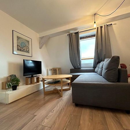 Colmar City Center - Appartement Belle-Vue 4 Etoiles Екстер'єр фото