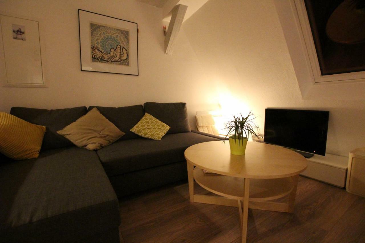 Colmar City Center - Appartement Belle-Vue 4 Etoiles Екстер'єр фото